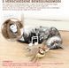 Интерактивная автоматическая игрушка для кошек Nepfaivy Cat Toy Bird Electric V3289 фото 3