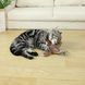 Интерактивная автоматическая игрушка для кошек Nepfaivy Cat Toy Bird Electric V3289 фото 2